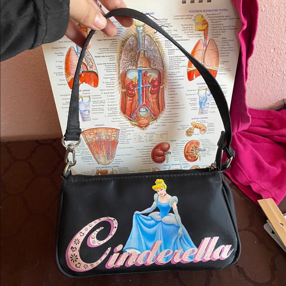Cinderella purse
